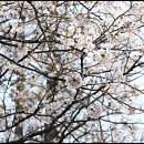 창원대로-2 이미지