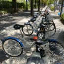 둔산대공원 입구(버스정류장) 이미지