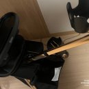 샤인카 | [육아용품 후기] 에이블 코지샤인 내돈내산 후기_휴대용 유모차_트라이크 유모카 후기