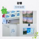강릉 시내 하루필름 입점 💙☁🤍 내돈내산 후기