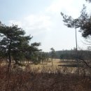 묘하나골산55깃대봉52(△서울325)영주산62산황산40금봉산30용구리산44영글이산84도당대산82차돌봉58깃대봉65△서울410)/경기고양 이미지