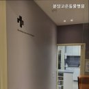 고은동물병원 네이버블로그