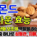 아몬드