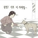 공감