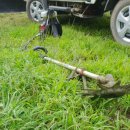 똘배농장 이미지