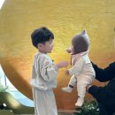 5개월아기 여행 서울 호캉스 페어몬트 디럭스룸 후기