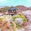 봄