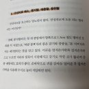 *광고*[마른당뇨 치료법은 따로 있다] 마른당뇨 극복 하기 위한 방법 핵심만 정리된 책 추천 👍