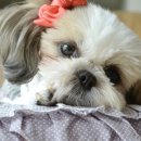 박은영농장 이미지