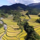 소야축산