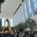 논현로 9 | 강남 결혼식장 더채플앳논현 라폴레홀 웨딩홀 뷔페 후기