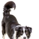 계원예술고등학교 이미지