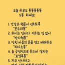 통통통 이미지