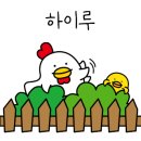 가야퍼스트클래스 이미지