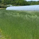 파랑새휴게소 이미지