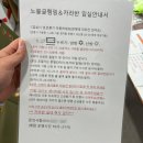 동일안전 | 서울 근교 캠핑장 수영장 있는 포천 노블글램핑 카라반 후기