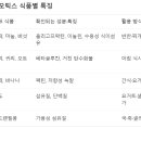 유산균은 언제 먹는게 좋을까? 이미지