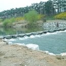 덕진-30 이미지