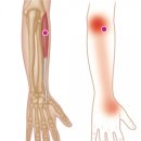 주 PT GYM 이미지