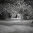 잠시라도 이미지