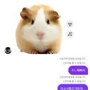 뉴턴제3법칙:3월이끝났으니3월블로그를써야한다