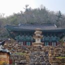 강진-21 | 2023 전남 강진 금곡사 벚꽃 삼십리길 축제 장소부터 일정까지 기본정보 총정리!!