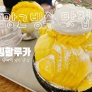 할루카연구소 | [양재천]리얼리얼 생망고와 빙수를 먹고싶을때!! 엘빙할루카