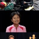 백년손님 이미지