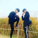 하늘공원 티스토리