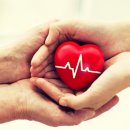 나무내과의원 이미지