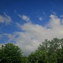 말구리농장 이미지