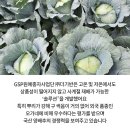 사계절 솔루션