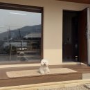 장보고마트 | 충주 애견동반 '스테이옛 우리' 반려견 독채 펜션