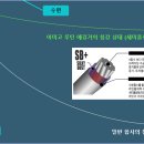 미고스테이