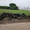 생선가게 PC방 이미지