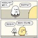 무이스시