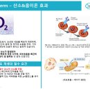 산소 덤