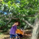 여차리농장 이미지