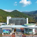 사천시 특별교통수단 이미지