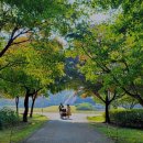 시민의숲 이미지