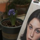 연빈화실 이미지