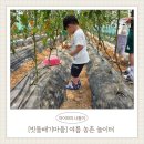 (주)한울타리 농촌체험마을 | [빗돌배기마을] 4살 아이랑 물놀이+토마토 따기 체험 후기 여름 농촌 놀이터 여행