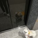 잇츠밤비 이미지