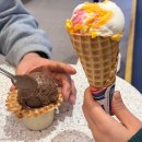 병천 유황오리 | [서울 종로] 병천유황오리 본점 / 종로오리맛집 내돈내산