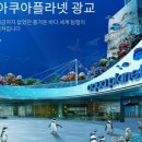 광교에니멀