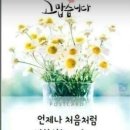 거대한 하모니