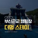 멍스테이 | 부산 근교 애견동반 캠핑장 의령 더멍스테이 D7 사이트 명당 꿀팁과 솔직 후기