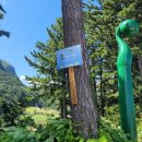 스테이 섬씽 울릉도 | 울릉도 숙소 추천 오션뷰 바베큐가 가능한 스테이섬씽