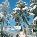 영하목장 이미지