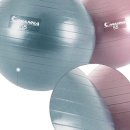 피트니스공 이미지